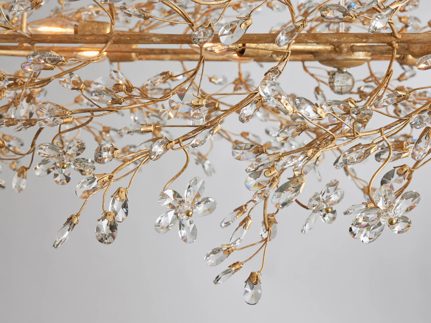 Fiela Oval Chandelier